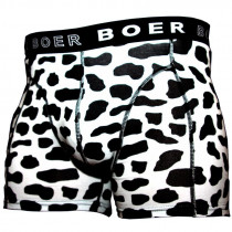 Boer Boer Cow