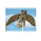 Prowler Owl vogelverschrikker