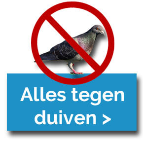 Alles tegen duiven