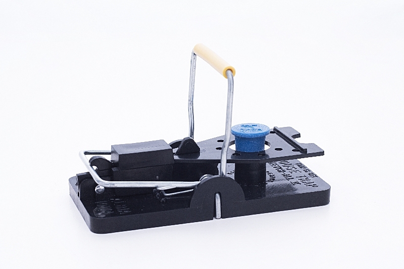 Nara Lure lokmiddel rat/muis mango geur 10st