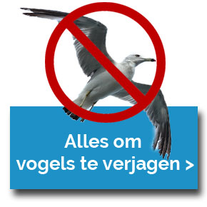 vogeloverlast-vogels-verjagen (1).jpg