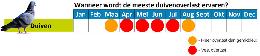 wanneer-duiven-overlast.jpg