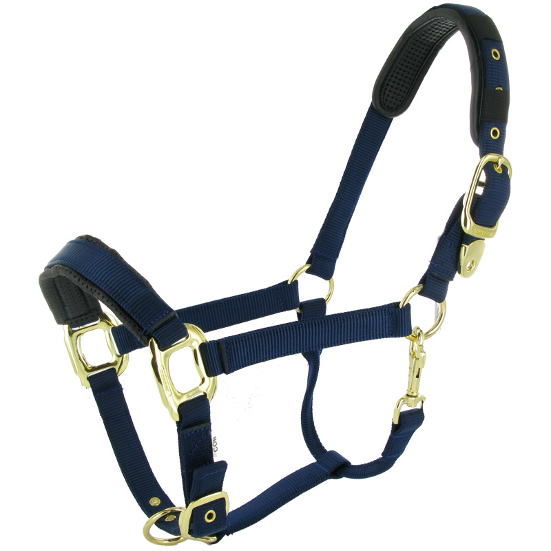 Paardenhalster luxe uitvoering COB (maat 2) blauw