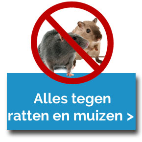 rat of muis bestrijden