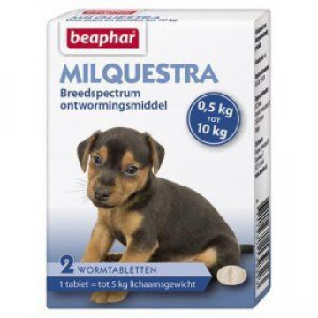 Beaphar Milquestra kleine hond / pup 2 tabletten