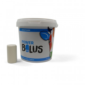 PowerBolus Electrolyte Tablet (10 stuks) 