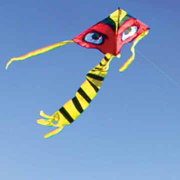 Twin terror kite vlieger aan het werk