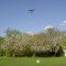 Hawk Kite - vogelverschrikker