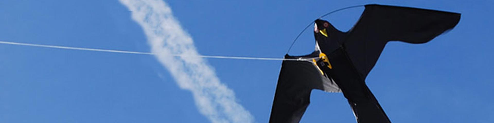 roofvogelvliegers-1920x480 roofvogelvliegers-1920x480