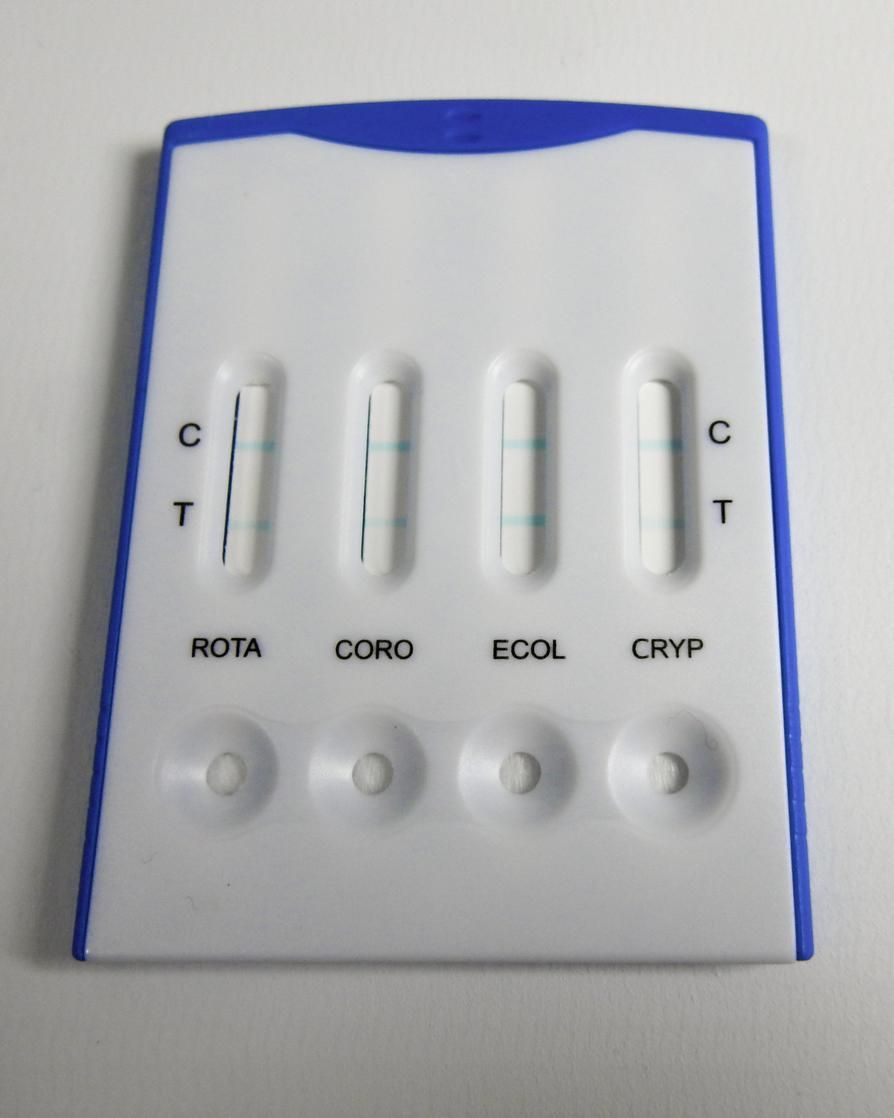 Kalverdiarree test Nimrod Surecheck 4  met 5 diarreetesters