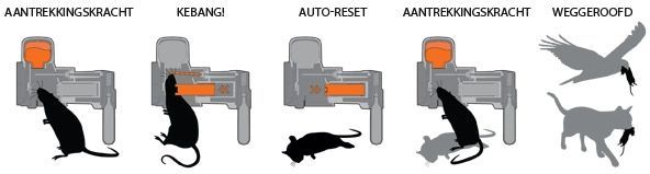 Zo werkt de Goodnature a24 automatische rattenval en muizenval